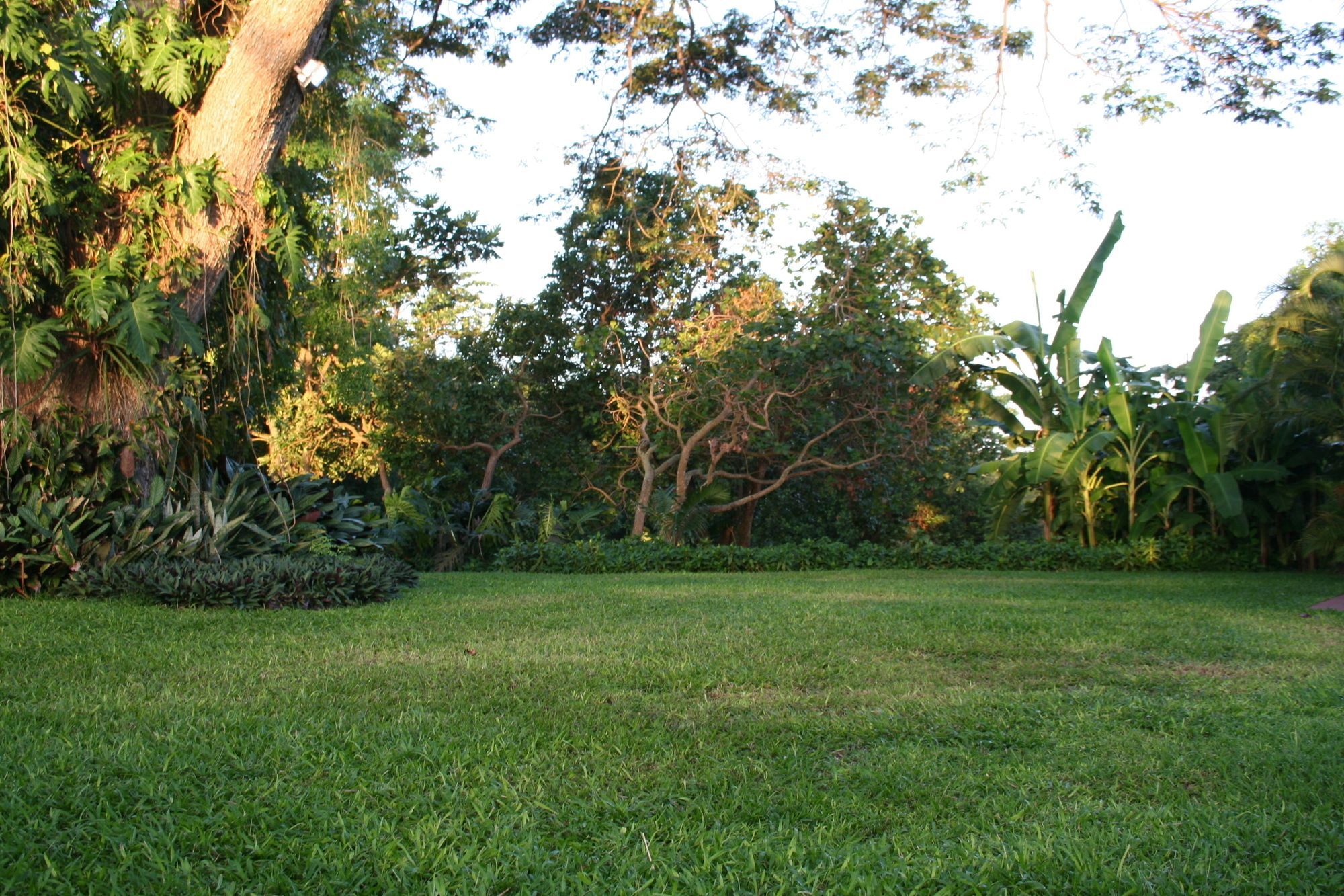 Habitation Du Comte Hotel Sainte-Rose Ngoại thất bức ảnh