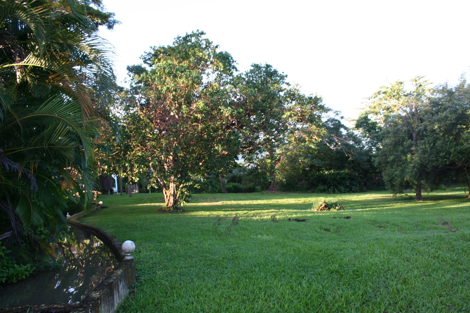 Habitation Du Comte Hotel Sainte-Rose Ngoại thất bức ảnh