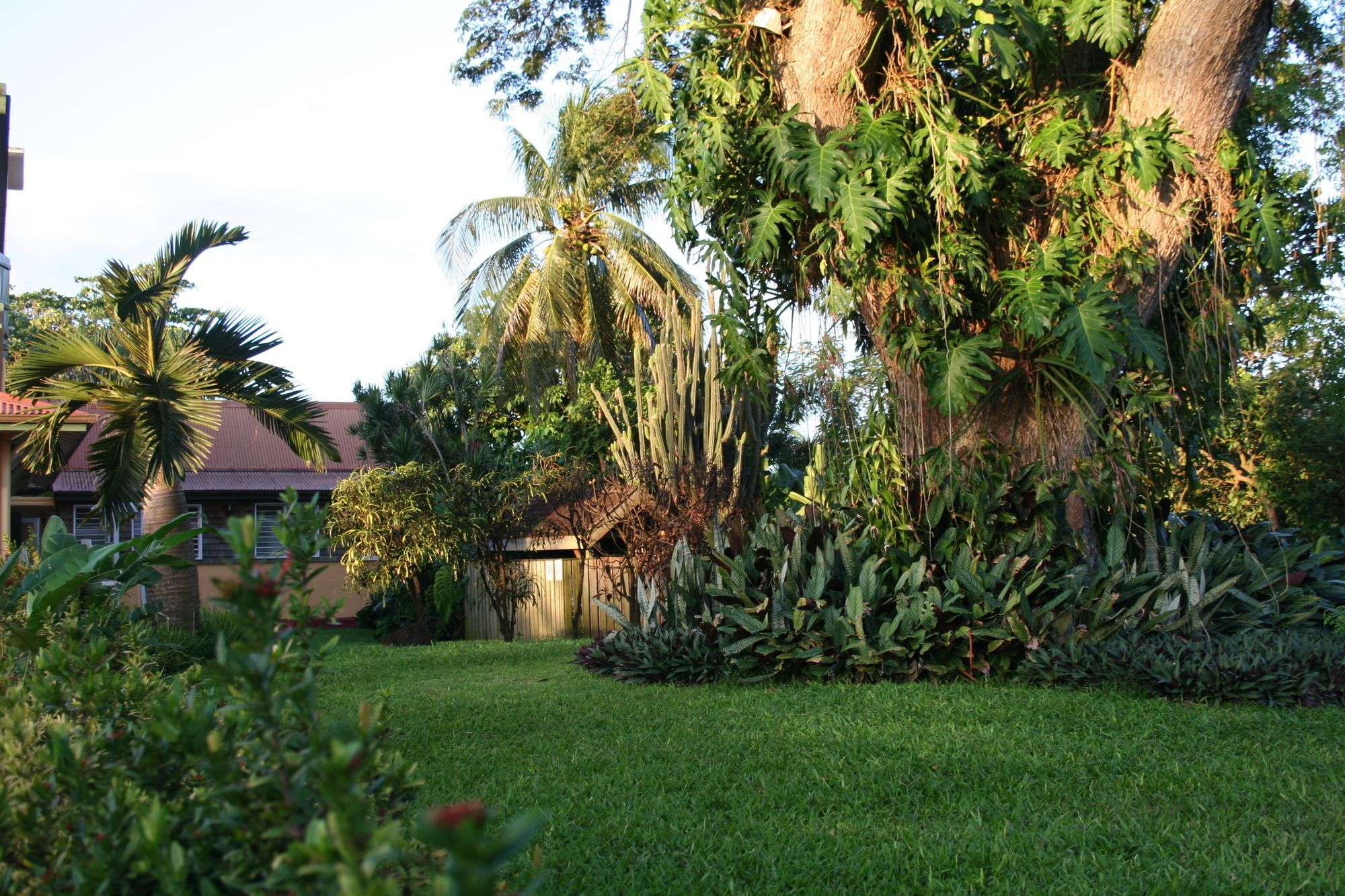Habitation Du Comte Hotel Sainte-Rose Ngoại thất bức ảnh